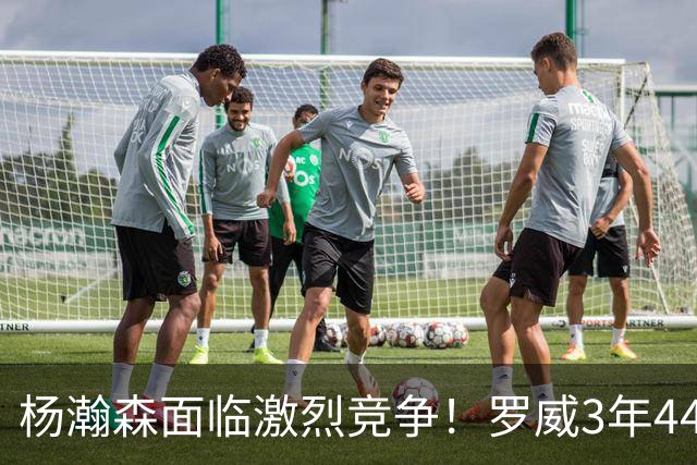 杨瀚森面临激烈竞争！罗威3年4400万美元续约开拓者